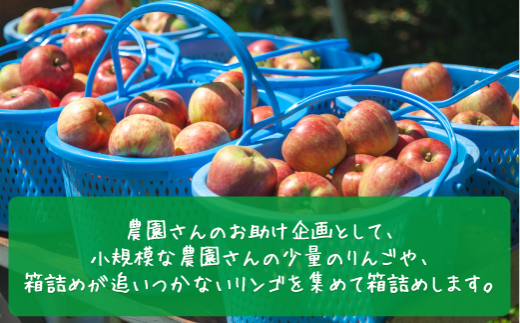 農園さんのお助け企画として、小規模な農園さんの少量のりんごや、箱詰めが追い付かないりんごを集めて箱詰めします。
