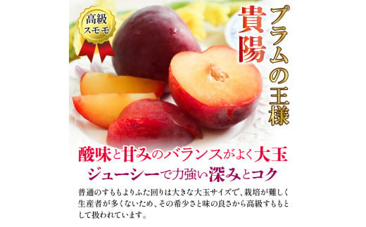 25年発送先行予約＞笛吹市産 もも×貴陽食べ比べセット約2.0kg（5～10玉） 205-009 - 山梨県笛吹市｜ふるさとチョイス -  ふるさと納税サイト