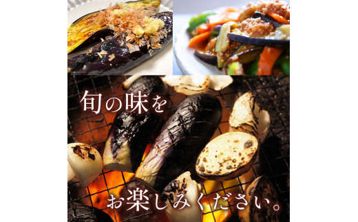 アイテムID:374068の画像3枚目