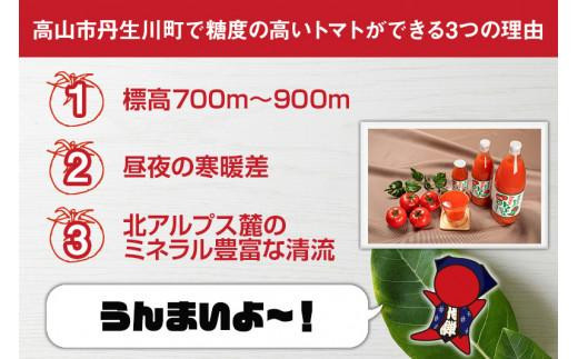 【数量限定】 マルオリ トマトジュース 180ml 10本入 食塩無添加 無塩 無添加 完熟トマト ストレート ストレートジュース 100％果汁  高糖度 マルオリ 飲み切り 小サイズ 小瓶 a692