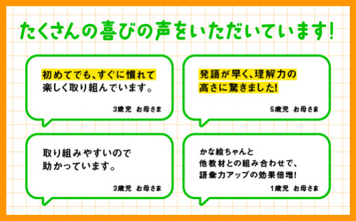 江津市限定返礼品：かな絵ちゃん英語セット＋DVD SC-57 しちだ 七田式 右脳 記憶力 カード 幼児 英語 フラッシュカード