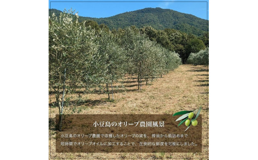 国産100％エキストラバージンオリーブオイル味比べ3種100ml3本入