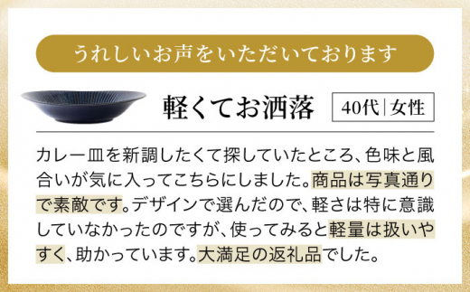 岐阜県土岐市のふるさと納税 【美濃焼】古窯群青 軽量カレー皿＆ボウル・プレート 6点 セット【山正各務陶器】820708 食器 プレート 鉢 [MFW002]