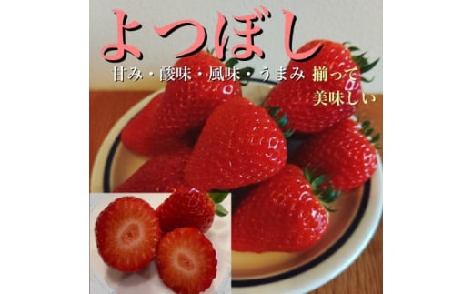 みえの安心食材認定!喰っ太郎キウイ24個入【1065671】 - 三重県鈴鹿市