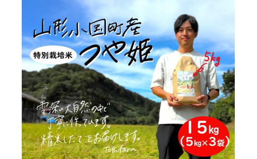 山形県小国町産　つや姫・15kg（5kg×3袋） 1109899 - 山形県小国町