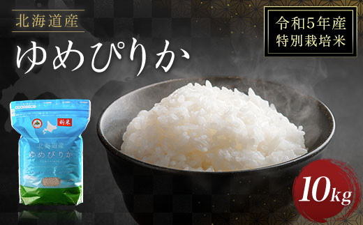 令和5年産】特別栽培米北海道産ゆめぴりか10kg ふるさと納税 米 白米