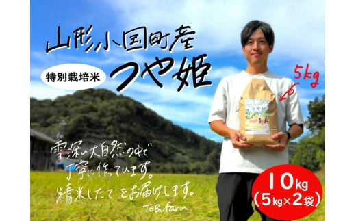 山形県小国町産　つや姫・10kg（5kg×2袋） 1109898 - 山形県小国町