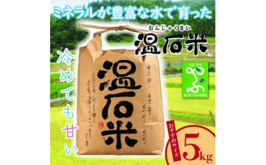甘くて、冷めても美味しい「温石米」5kg(2023年収穫米)【1363254】