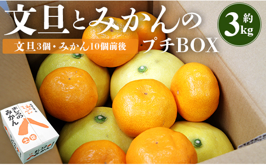 間城農園 ちょこっと食べたい方におすすめ「文旦とみかんのプチＢＯＸ」 - 果物 フルーツ 柑橘 ぶんたん みかん 特産品 ms-0040 424668 - 高知県香南市