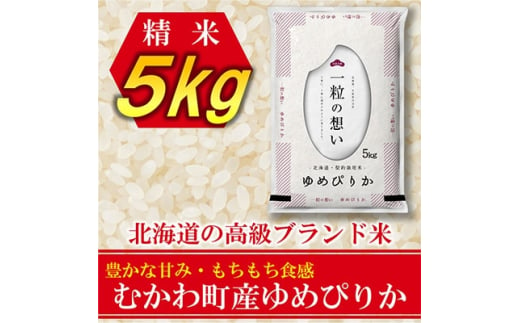 毎月定期便＞特A受賞!北海道むかわ町産ゆめぴりか 精米5kg全6回