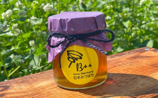熊本県産 日本みつばちの蜂蜜 約250g 1183815 - 熊本県熊本市