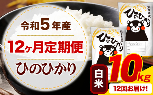 令和5年産 ひのひかり 【12ヶ月定期便】 白米 《お申込み月の翌月から出荷開始》10kg (5kg×2袋) 計12回お届け 熊本県産 単一原料米 ひの 熊本県 御船町