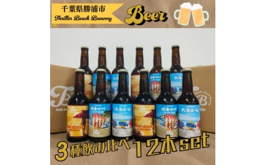 クラフトビール3種飲み比べセット＜瓶330ml×12本＞千葉県勝浦市にある醸造所より直送【1456192】