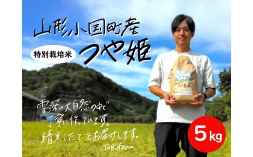 山形県小国町産　つや姫・5kg 1109892 - 山形県小国町