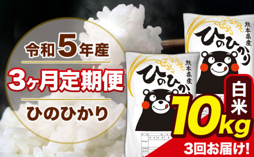 新米 令和5年産 【3ヶ月定期便】 ひのひかり 白米 10kg 5kg×2袋 計3回