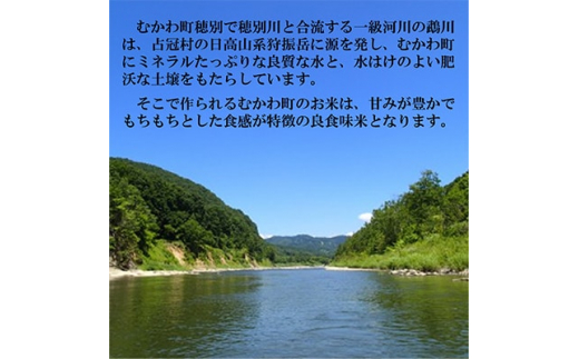 毎月定期便＞特A受賞!北海道むかわ町産ゆめぴりか 精米5kg全6回