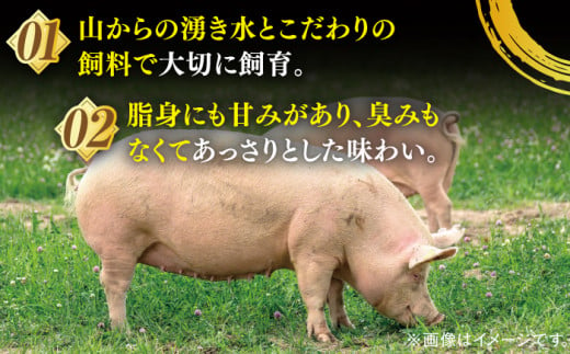 【あっさりとした上質な肉質】平戸島豚 とんかつ