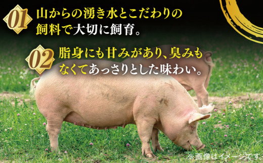 平戸島豚セット ロース 肩ロース 豚ロース