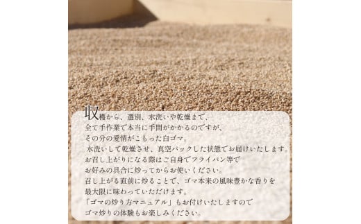 アイテムID:374068の画像5枚目