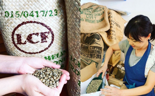 豆乃木オーナーおすすめ コーヒー豆 3種セット (粉・中挽き) 【 グァテマラ、ケニア、エチオピア 】
