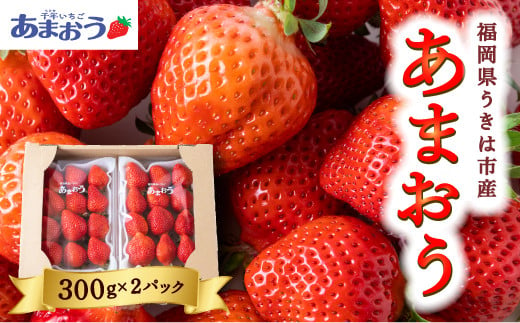 福岡県うきは市のふるさと納税 お礼の品ランキング【ふるさとチョイス】