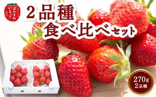 よかもんいちご ２品種食べ比べセット 2024年12月上旬から12月下旬 出荷予定 244148 - 福岡県うきは市