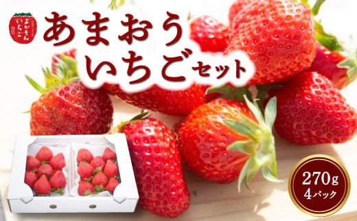 よかもんいちご あまおう苺セット4パック 2025年2月1日から2月28日 出荷予定 257542 - 福岡県うきは市