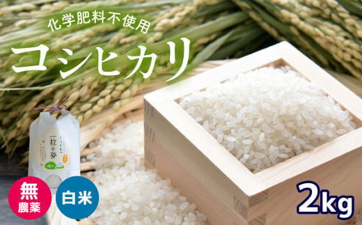 無農薬 ・ 化学肥料不使用 コシヒカリ 2kg 令和6年産 米 (2025年2月以降の発送予定)  ｜ 有機農産物認証推進協会認定 精米 お米 米 こしひかり 無農薬 美祢市 美祢 山口県 秋芳 カルスト台地 湧き水 ミネラル 結び家 くらとも 570259 - 山口県美祢市