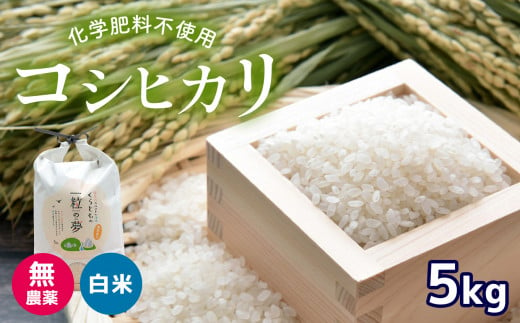 無農薬 ・ 化学肥料不使用 コシヒカリ 5kg 令和6年産 米 (2025年2月以降の発送予定)   ｜ 有機農産物認証推進協会認定 精米 お米 米 こしひかり 美祢市 山口県 秋芳 カルスト台地 湧き水 ミネラル 結び家 くらとも 570257 - 山口県美祢市