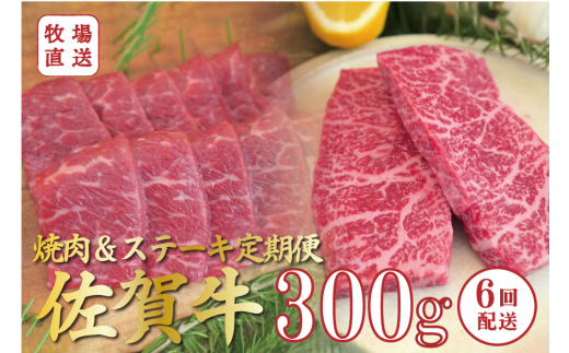 [定期便セット]全6回 佐賀牛の焼肉&ステーキセット / 焼肉用赤身300g、ステーキ用赤身300g TOMMY BEEF