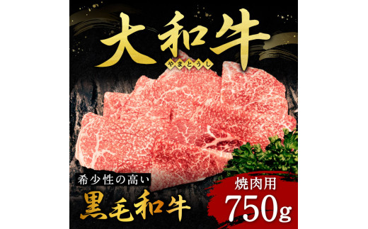 大和牛焼肉 750g 肉の河内屋 H-112 1135755 - 奈良県奈良市
