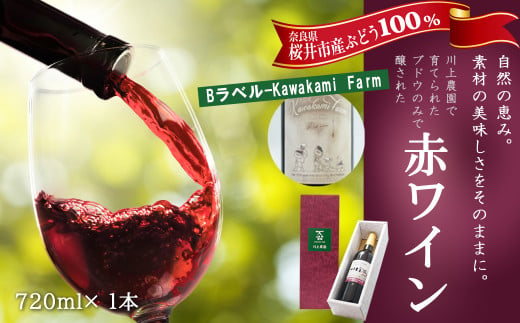 M-BB21.【Bラベル-Kawakami Farm】赤ワイン 720ml 1本（商品No.1） 759439 - 奈良県桜井市
