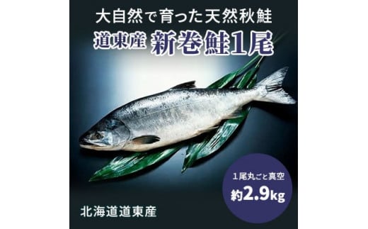 道東産新巻鮭オス(約2.9kg)1尾
