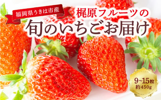 梶原フルーツの旬のいちごお届け 2025年1月中旬から1月31日 出荷予定 270665 - 福岡県うきは市