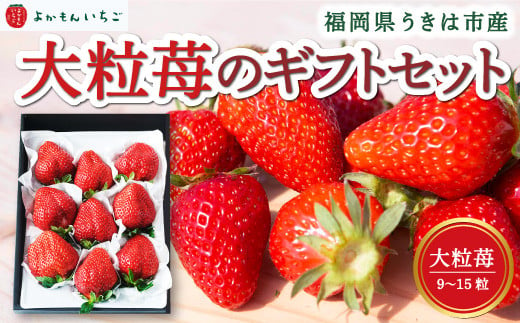 P100-03 よかもんいちご 大粒苺のギフトセットA 3月お届け 244142 - 福岡県うきは市