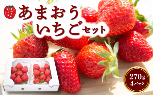 よかもんいちご あまおう苺セット4パック 2025年3月1日から3月31日 出荷予定 257543 - 福岡県うきは市