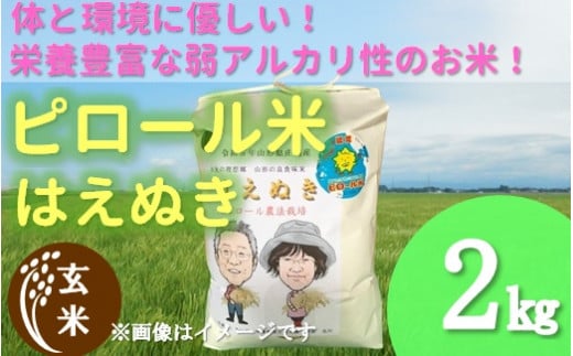 【令和6年産・玄米】九代目又七のピロール農法米はえぬき2kg　※10月上旬ごろから順次発送開始