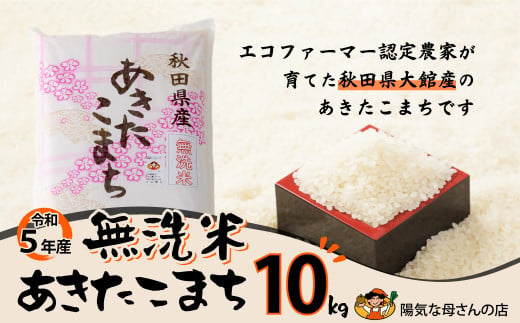75P9008 【令和5年産】【無洗米】あきたこまち10kg（10㎏×1袋）