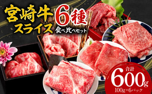 宮崎牛 スライス 6種 食べ比べ セット 合計600g_M132-043 579864 - 宮崎県宮崎市