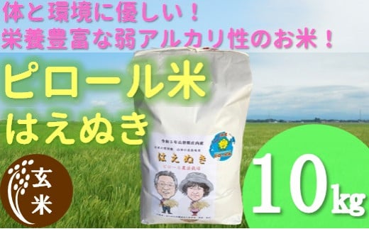 【令和6年産・玄米】九代目又七のピロール農法米はえぬき10kg　※10月上旬ごろから順次発送開始