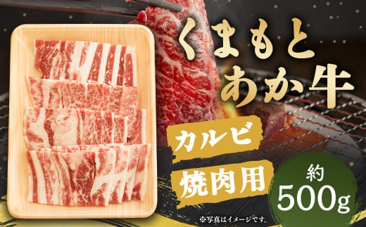 くまもと あか牛 カルビ 焼肉用 約500g×1パック 1165261 - 熊本県人吉市