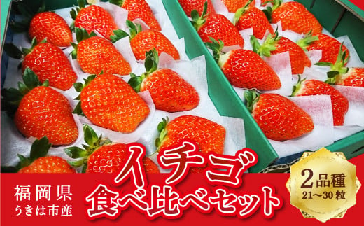 梶原フルーツのイチゴ食べ比べセット 2025年2月1日から2月28日 出荷予定 244169 - 福岡県うきは市