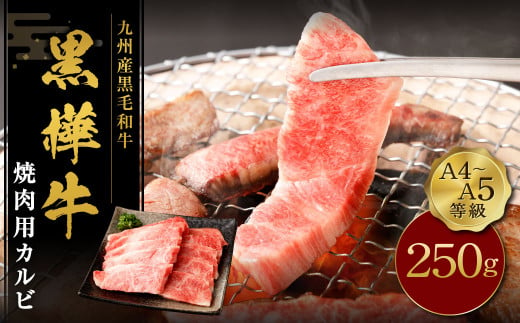 くまもと黒毛和牛 杉本本店 黒樺牛 A4~A5等級 焼肉用カルビ 250g 286108 - 熊本県菊陽町