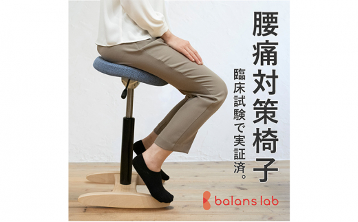 [№5308-7234]バランス シナジー(カバーなし)ラウンドシート　本体:グレー