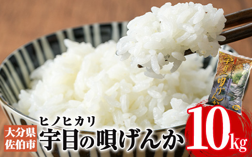 ＜令和5年産＞佐伯市 宇目産 ヒノヒカリ (10kg・1袋) 【AY62】【 (公財)さいき農林公社】 548112 - 大分県佐伯市