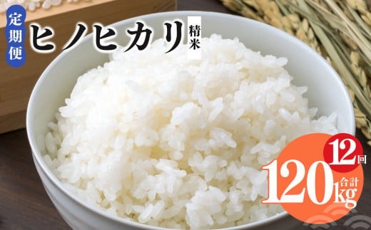 【 定期便 12回 】奈良県産 ヒノヒカリ 精米 10kg （ 計120kg ） 米