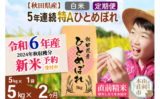 Sanuki フルーツ缶詰 白桃 12缶セット / 秋田県由利本荘市 | セゾンの