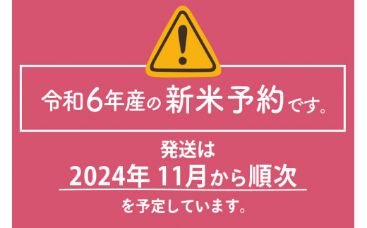 ※令和6年産 新米予約※《定期便6ヶ月》【白米】5年連続特A 秋田県産ひとめぼれ 計15kg (5kg×3袋) お届け周期調整可能  隔月に調整OK【2024年秋ごろ出荷予定】