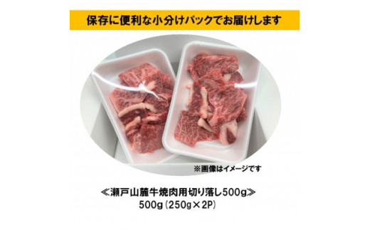 訳あり 瀬戸山麓牛焼肉用切落し500g(250g×2P)【1467593】 - 愛知県瀬戸市｜ふるさとチョイス - ふるさと納税サイト