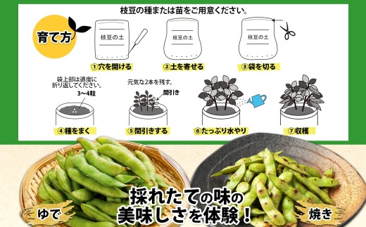 育て方も簡単！採れたての枝豆の味は格別です！茹で、焼きどちらもビールに良く合います。